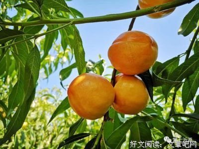 一的我宁名句欣赏