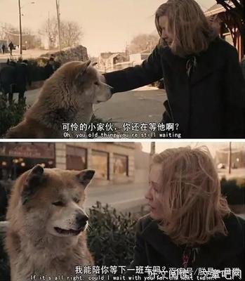 《忠犬八公》：陪伴，永远是最长情的告白