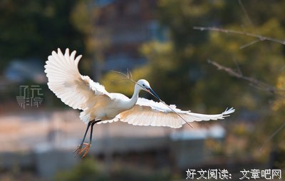 微·虚构 
