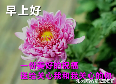 心灵毒药经典的句子