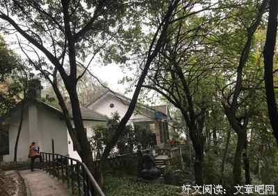 武汉挺过来了，永远不能原谅的和永远不能忘记的