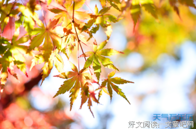 关于句集的句子