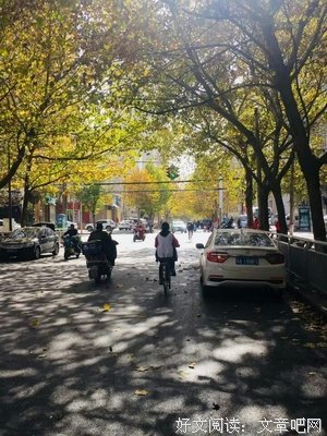 《文学的日常》观后感摘抄