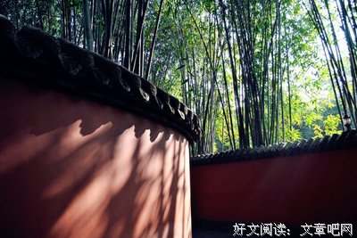 《不天下不是人》的句子