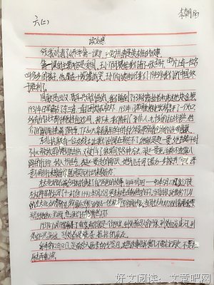 《文学的日常》观后感精选