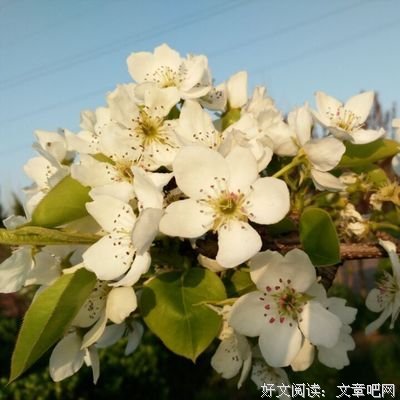 《战斗民族养成记》的观后感大全