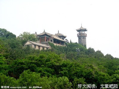 《杨门女将之女将初征》的观后感大全