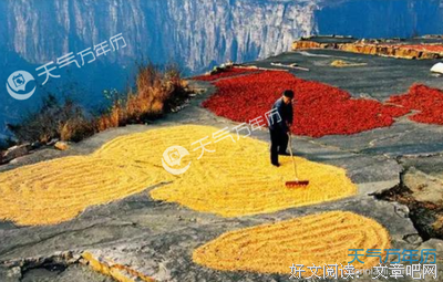 关于清风乱流年的优美句子
