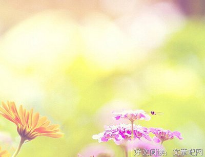 热血，骄傲名句欣赏