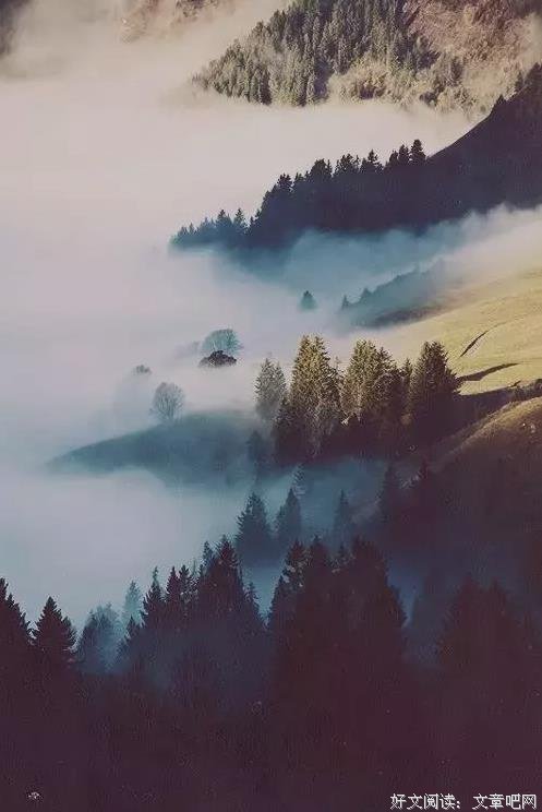 书房花木深