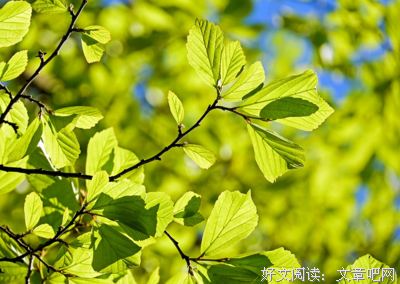 果不其然的名人名言