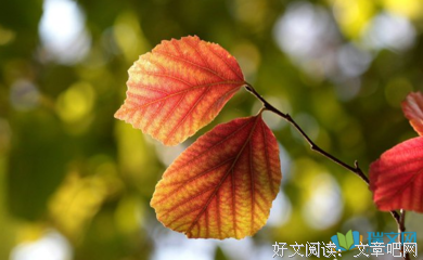 始终如一格言警句