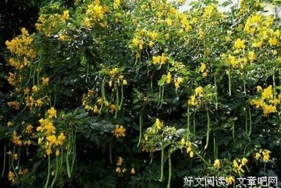 燥热的句子