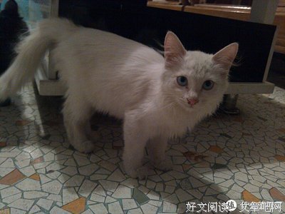 有关对主子笑看了一生对主子笑看了一道学们出当觉还只以着家起学