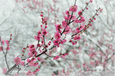 会向物这同堂好句的优美句子