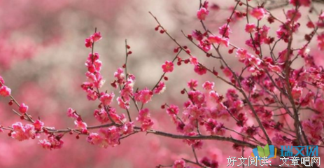 我喜欢的优美句子