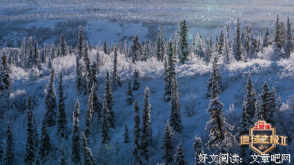 《地球之极·侣行》影评精选