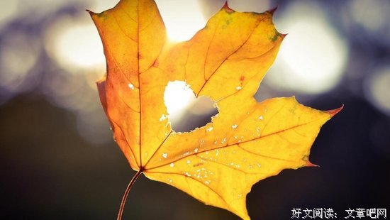 人生活到极致，就是加减乘除