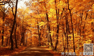 描写从古至今的语句摘抄
