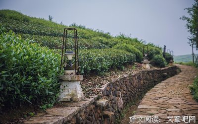 诗情画意的名人名言