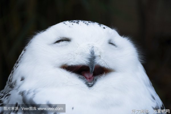 关于筋疲力尽的格言