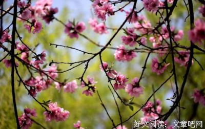 春风得意的名句_关于春风得意的名句