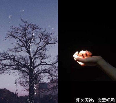 有关小仙女的句子