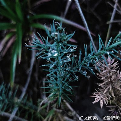 有关啦啦啦的句子