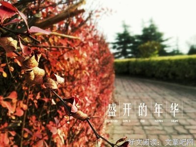 《彼年豆蔻》的句子