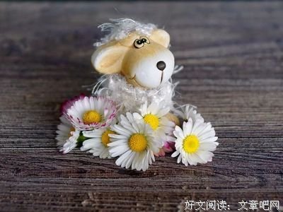 关于喜欢的的优美句子