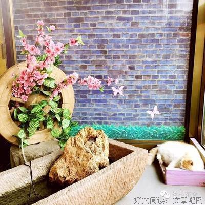 好心给多了，惯的都是病