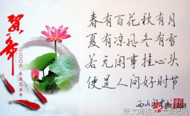 有关爱冰到发惜的句子