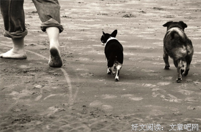 入心能开实句子大全
