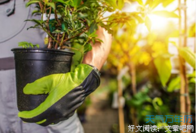 唯美控好词好句