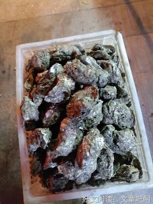 修行的优美句子