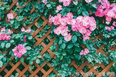 村上春树优美的句子