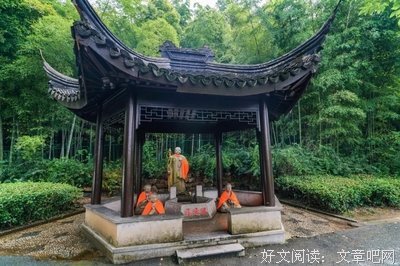 苍壁书读后感100字