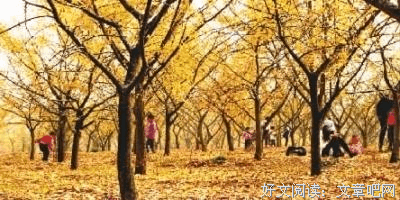 《苏东坡传：最新修订精装纪念典藏版！》读后感精选