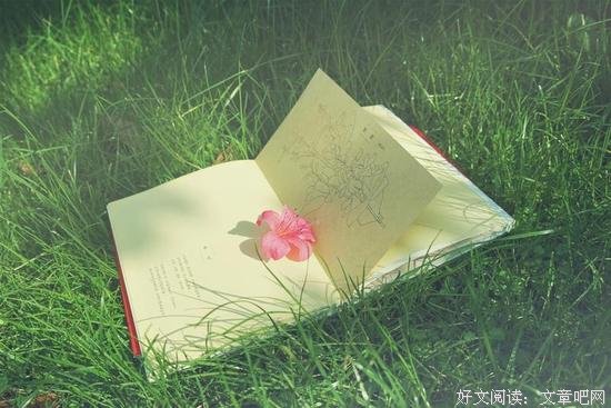 林清玄：坚硬的现实里，修得一颗柔软心 