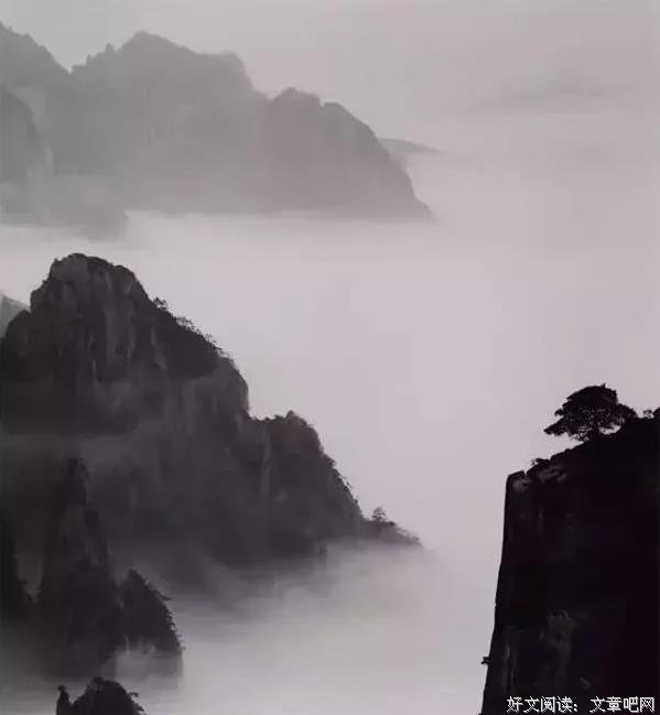 一袋青橄榄
