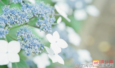 关于小说书摘的优美句子