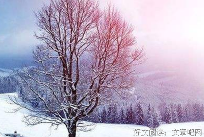  过往优美的句子