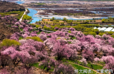 一场势在必行的欢爱过后，他痛哭失声