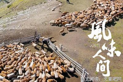 《风味人间 第二季》观后感100字