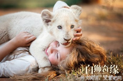 《米娅和白狮》观后感摘抄