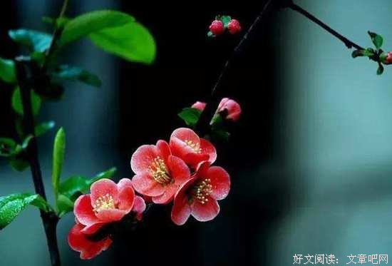 你能不能活得热气腾腾