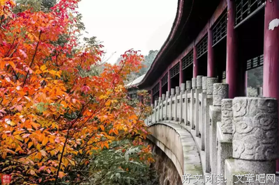 关于心旷神怡的语句