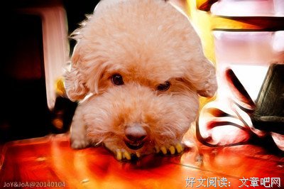 装腔作势的名言_关于装腔作势的名言
