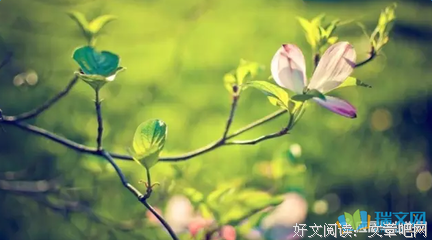 那些奋斗岁月名句欣赏
