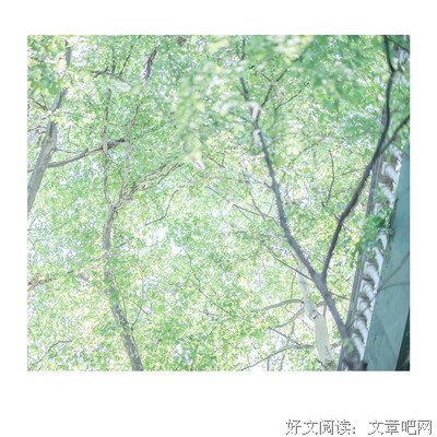 柏在春生，于夏日长的句子